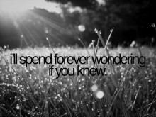 I'll spend forever wondering if you knew.jpg